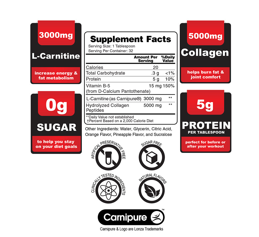 Protein + Carnitine Recovery 8000