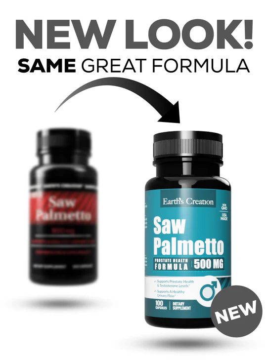 Saw Palmetto